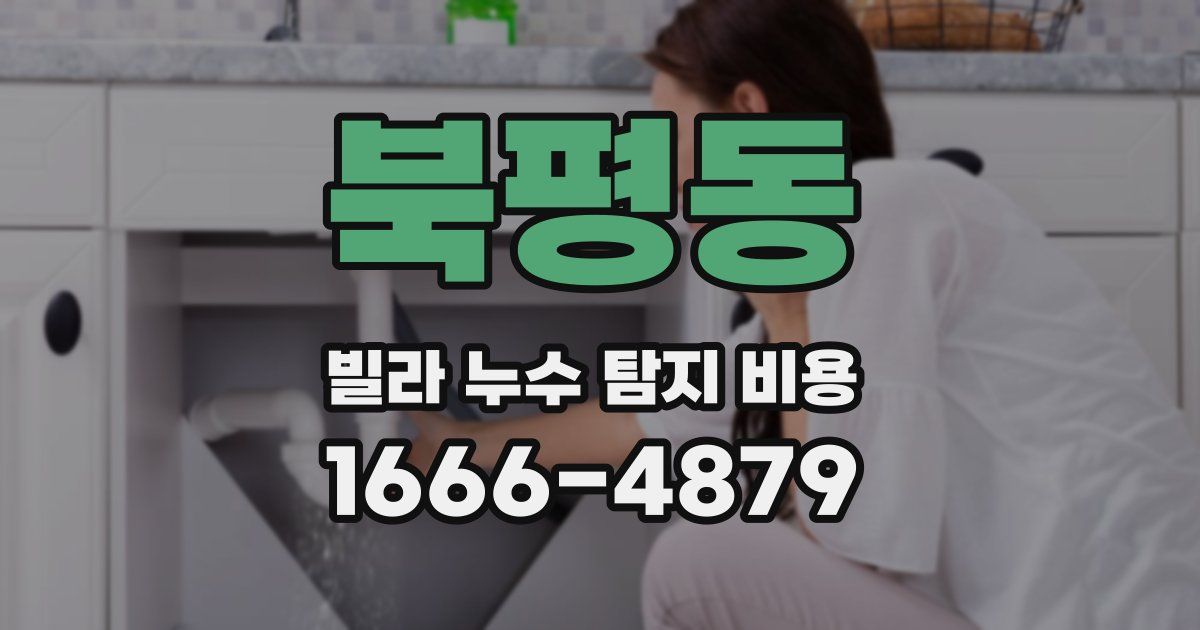 북평동 빌라 누수 탐지 비용