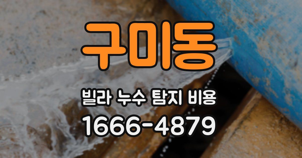 구미동 빌라 누수 탐지 비용