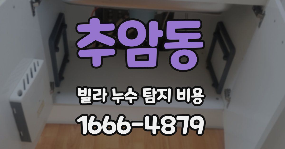 추암동 빌라 누수 탐지 비용