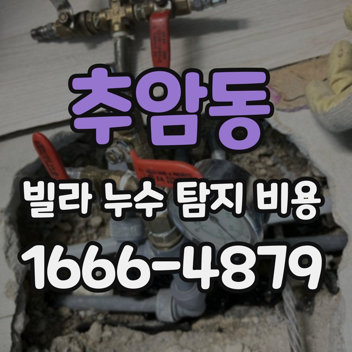 추암동 빌라 누수 탐지 비용