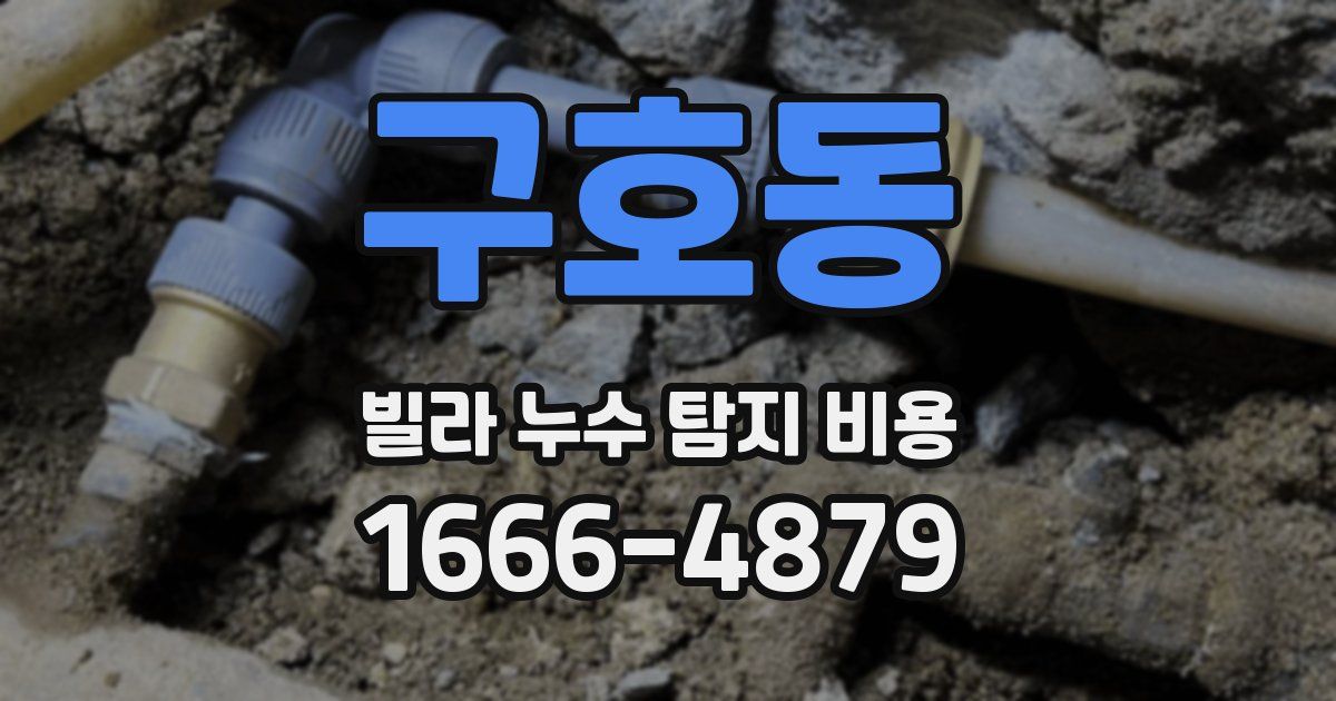 구호동 빌라 누수 탐지 비용
