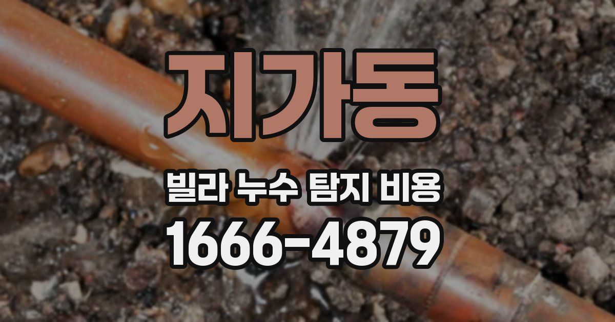 지가동 빌라 누수 탐지 비용