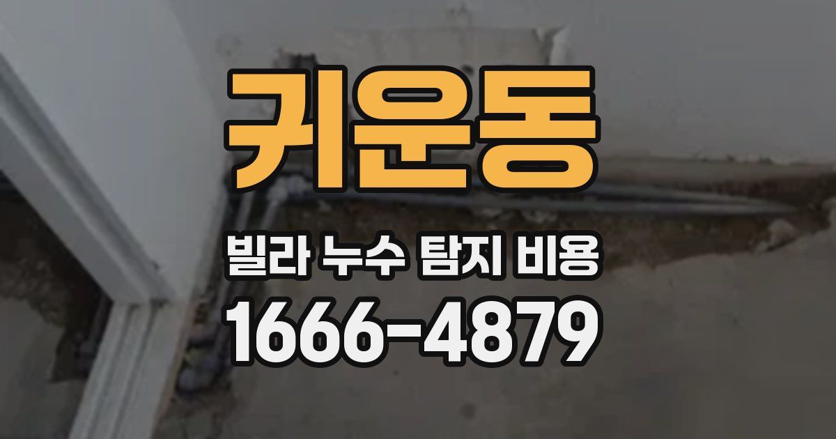 귀운동 빌라 누수 탐지 비용
