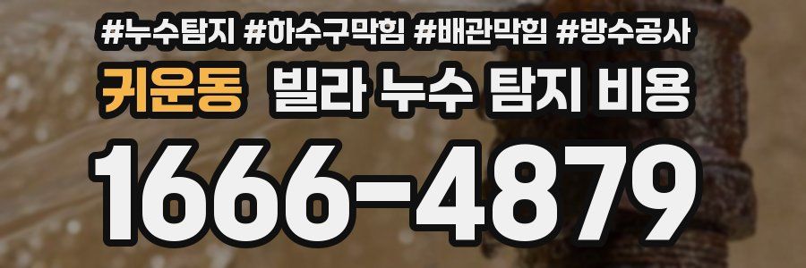 귀운동 빌라 누수 탐지 비용