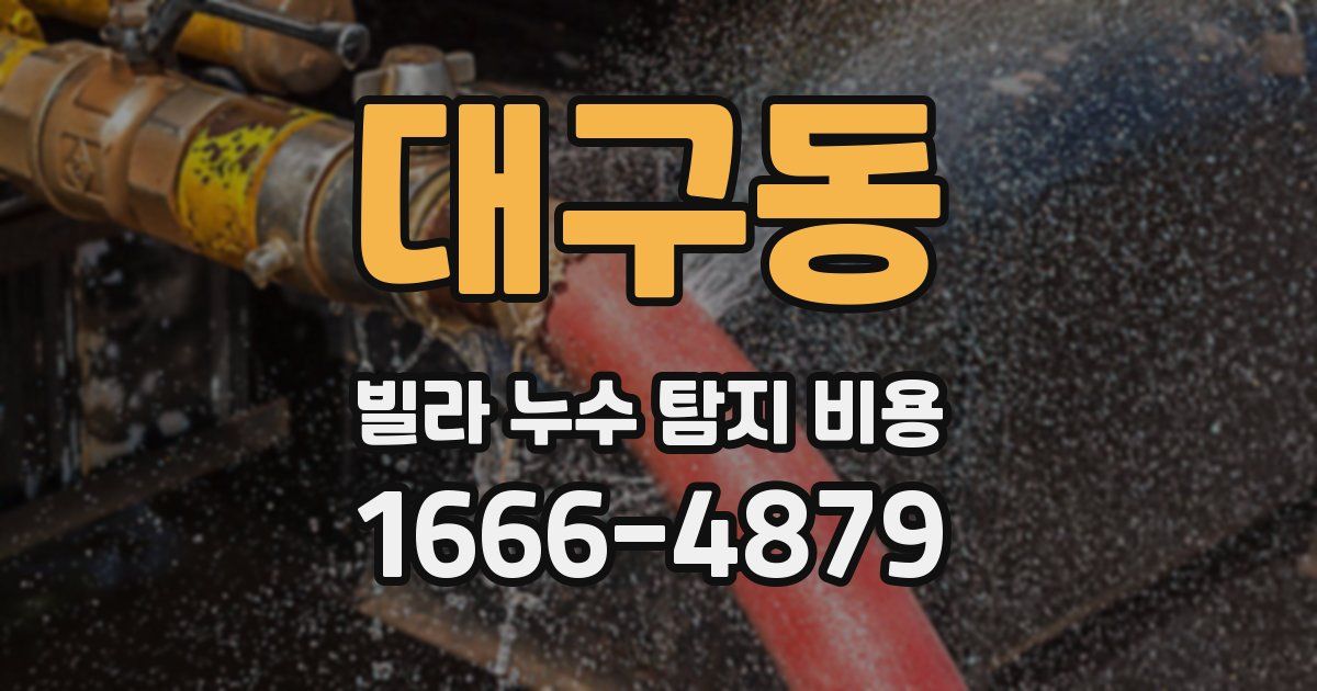 대구동 빌라 누수 탐지 비용