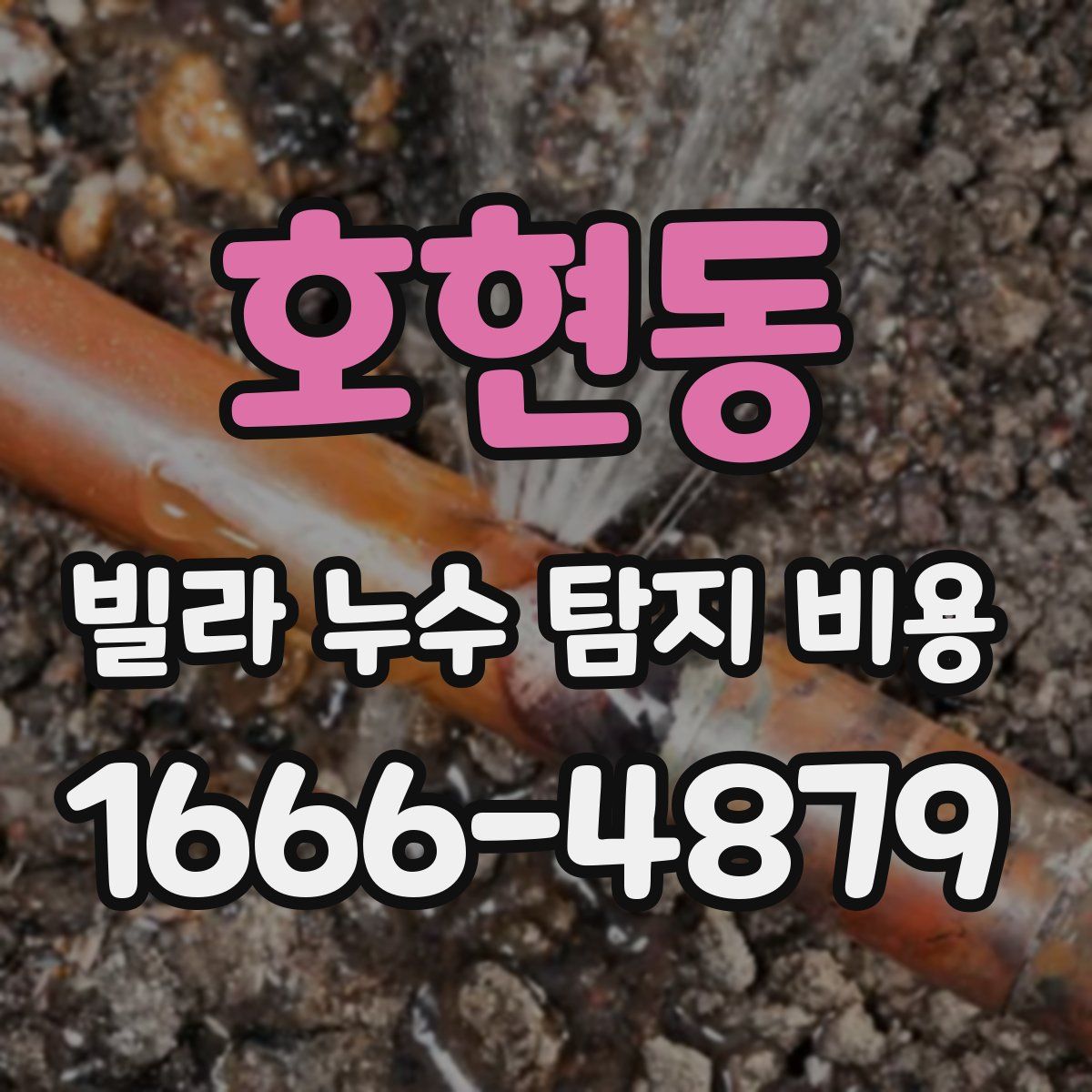 호현동 빌라 누수 탐지 비용