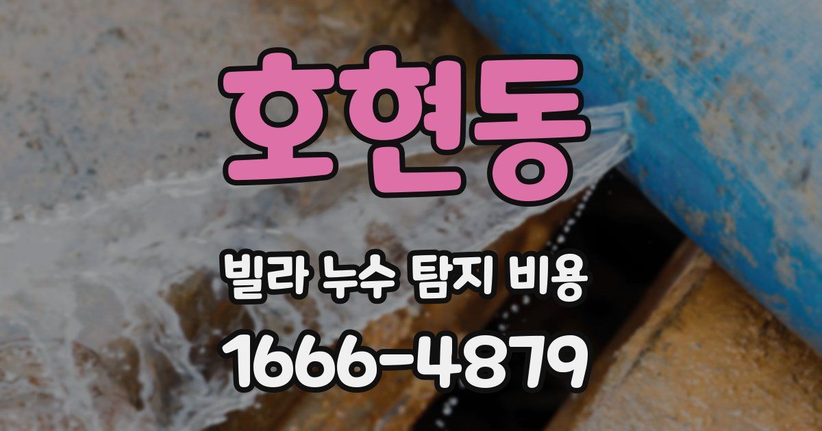 호현동 빌라 누수 탐지 비용