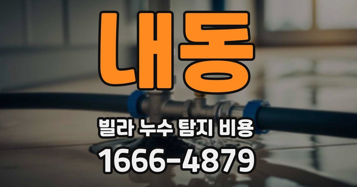내동 빌라 누수 탐지 비용