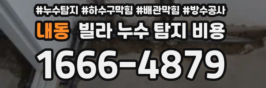 내동 빌라 누수 탐지 비용