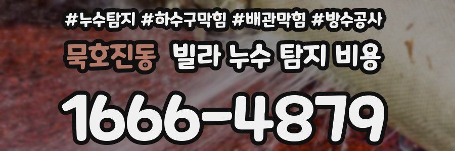 묵호진동 빌라 누수 탐지 비용