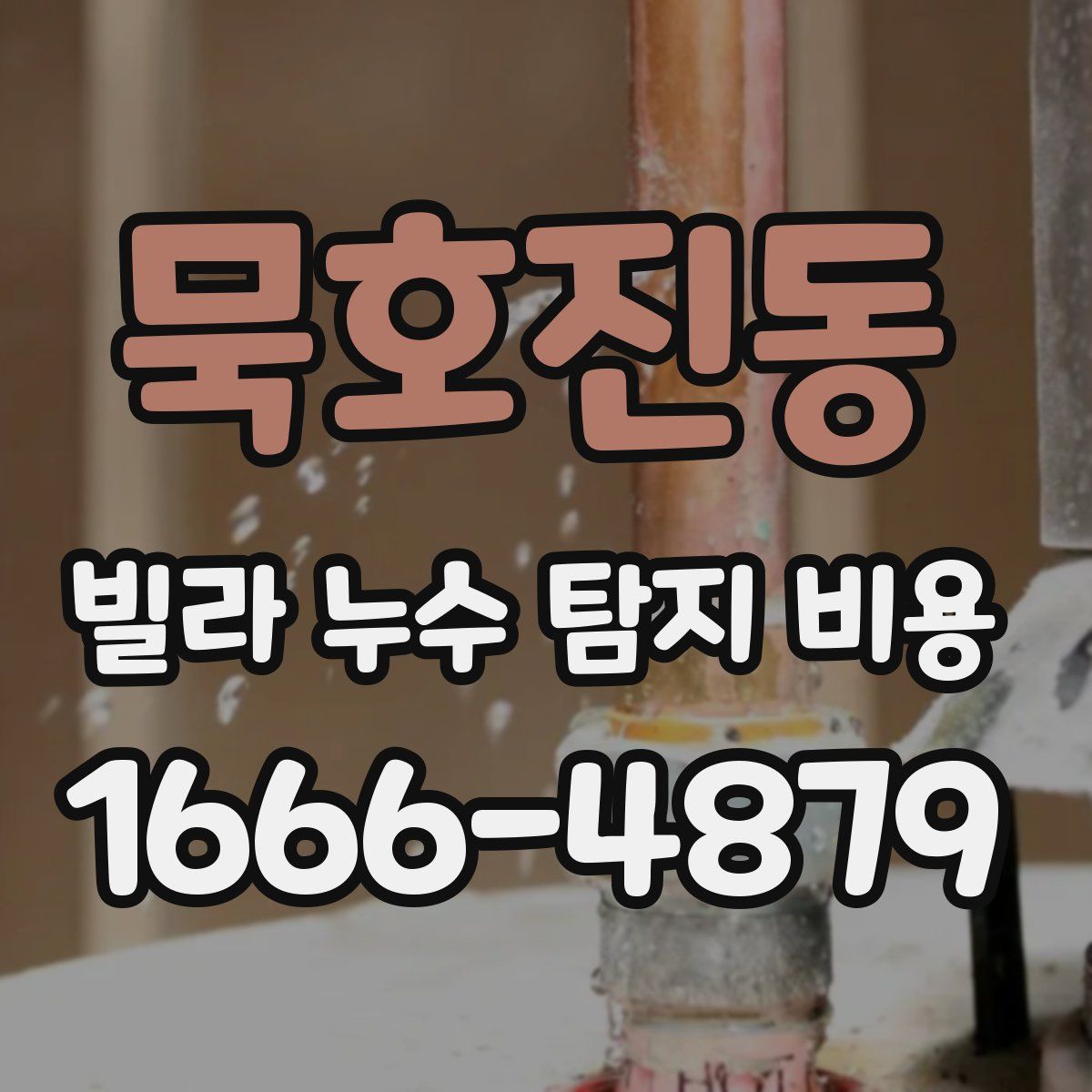 묵호진동 빌라 누수 탐지 비용