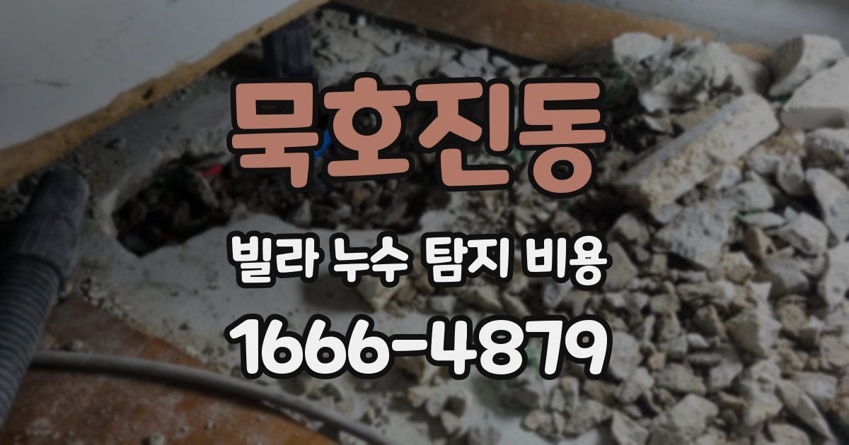 묵호진동 빌라 누수 탐지 비용