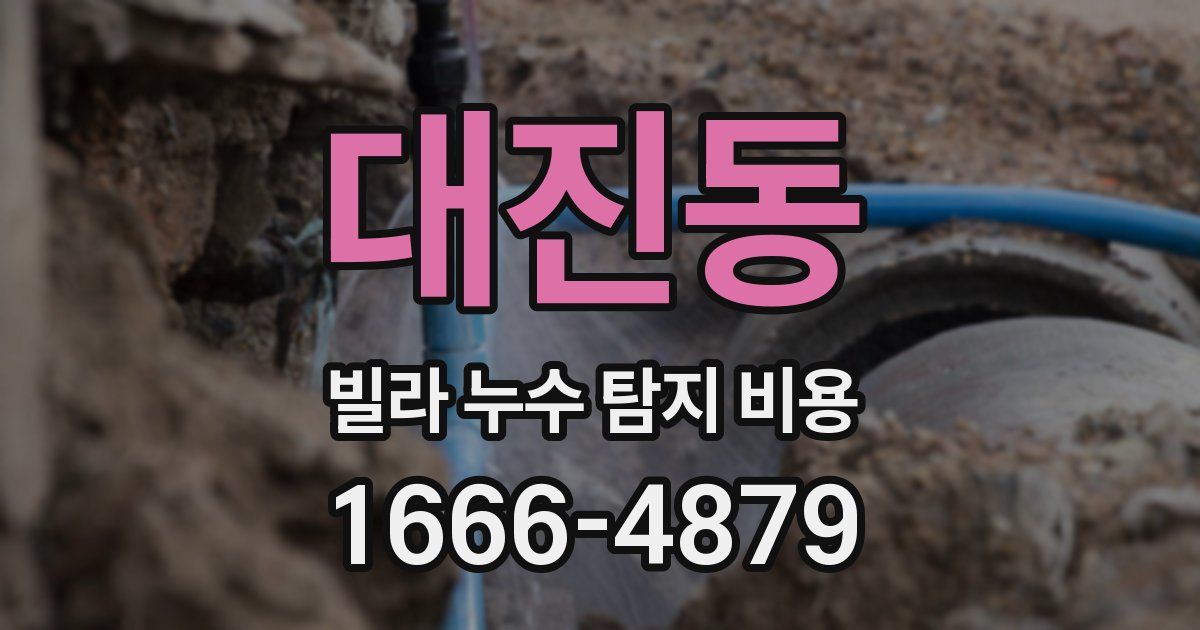 대진동 빌라 누수 탐지 비용