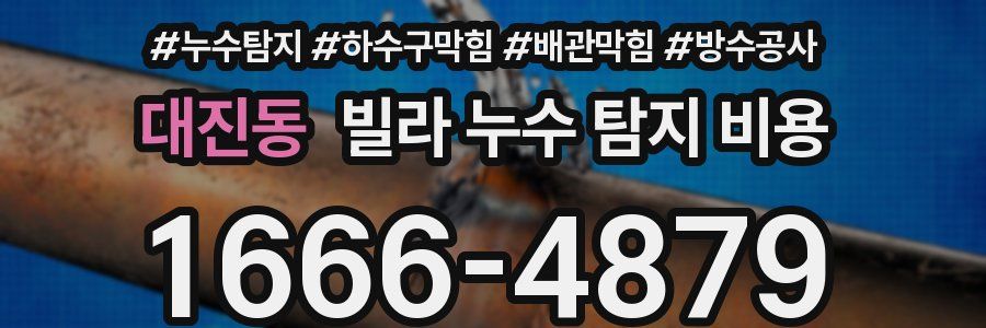 대진동 빌라 누수 탐지 비용