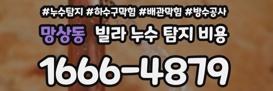 망상동 빌라 누수 탐지 비용