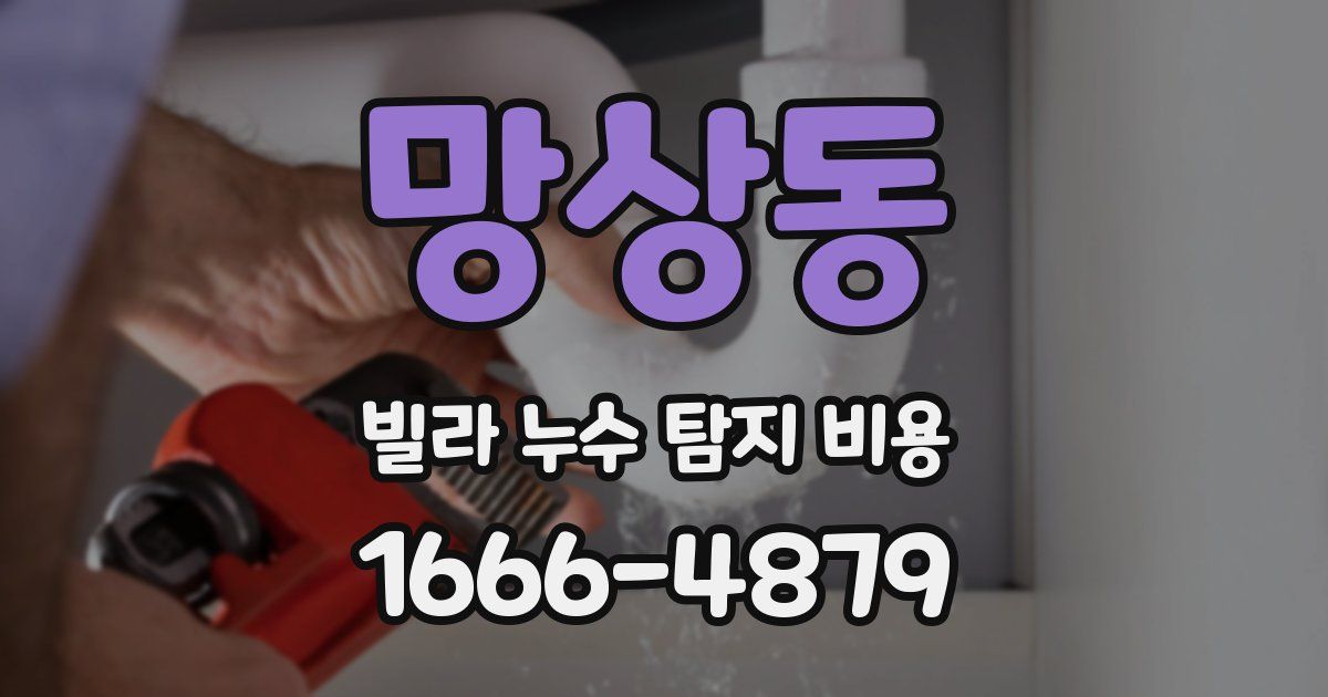 망상동 빌라 누수 탐지 비용