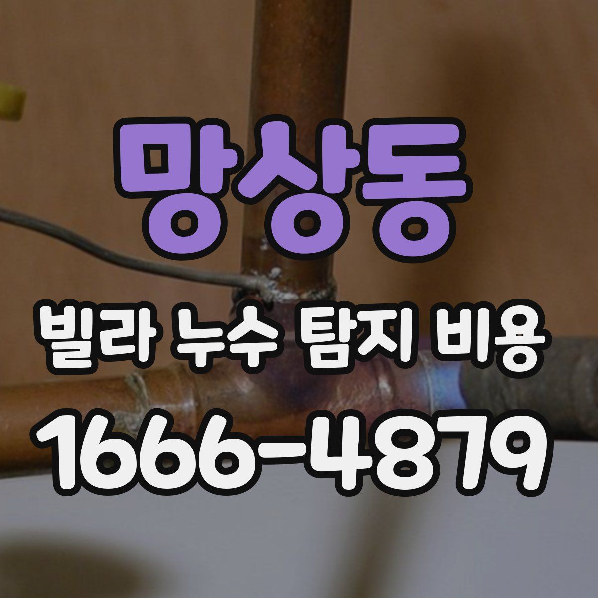 망상동 빌라 누수 탐지 비용
