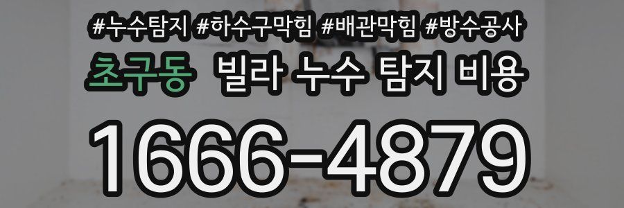 초구동 빌라 누수 탐지 비용