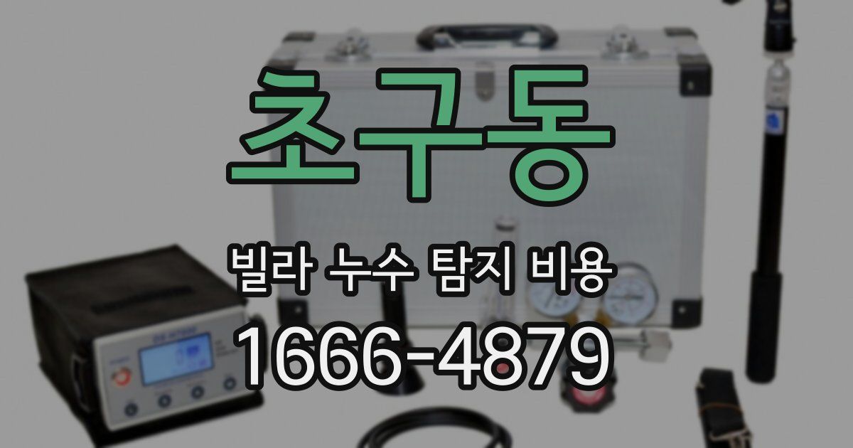 초구동 빌라 누수 탐지 비용