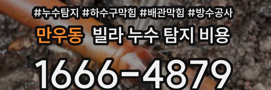 만우동 빌라 누수 탐지 비용