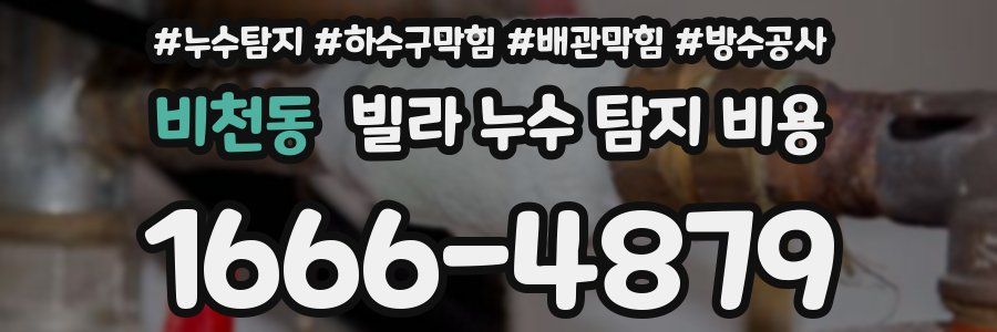 비천동 빌라 누수 탐지 비용