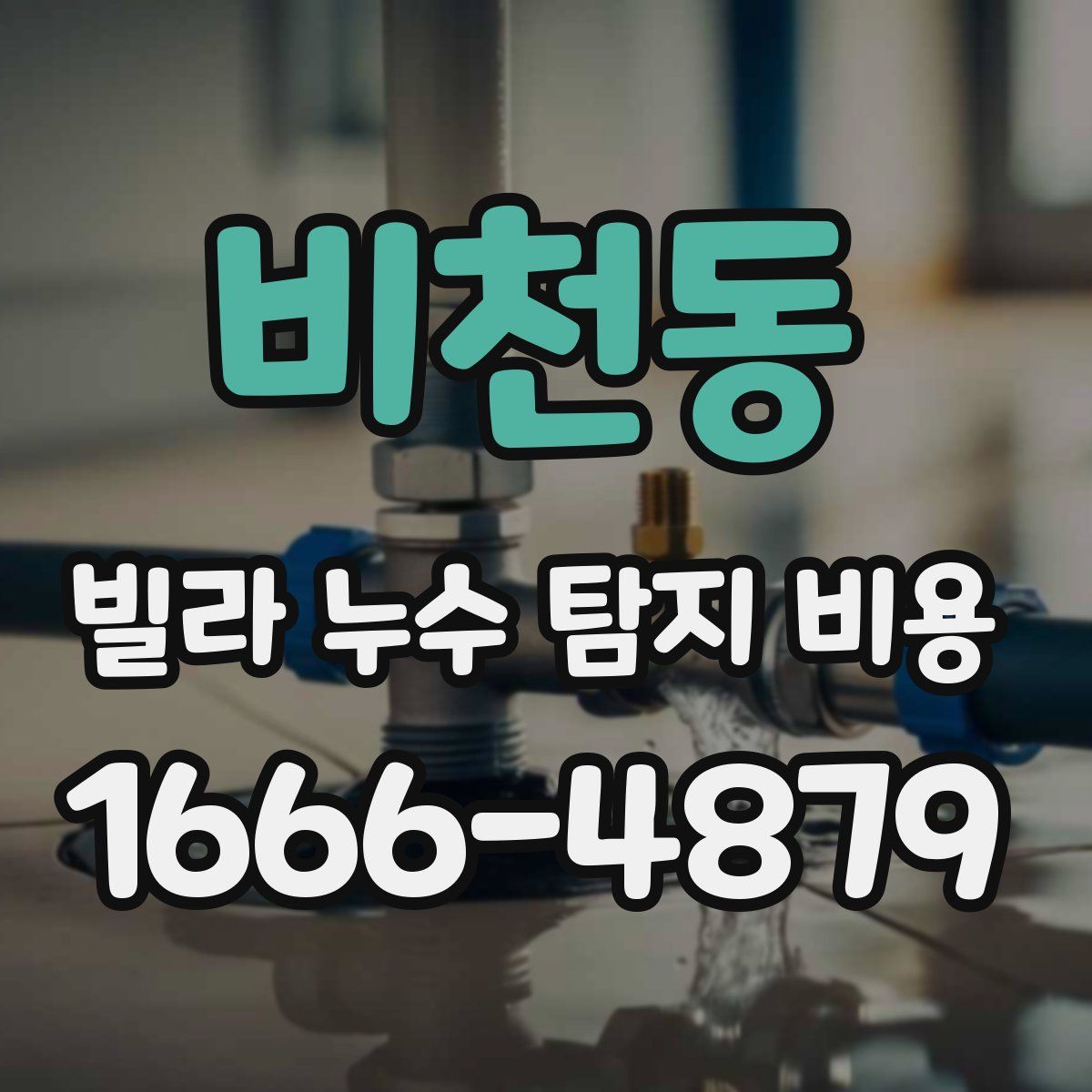 비천동 빌라 누수 탐지 비용