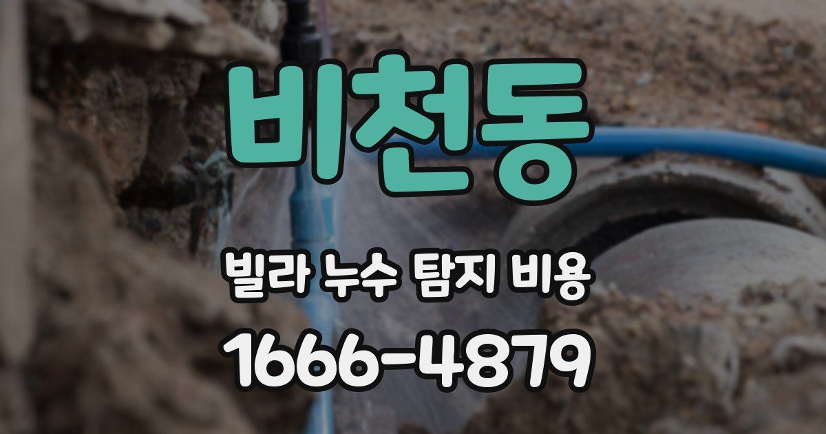 비천동 빌라 누수 탐지 비용