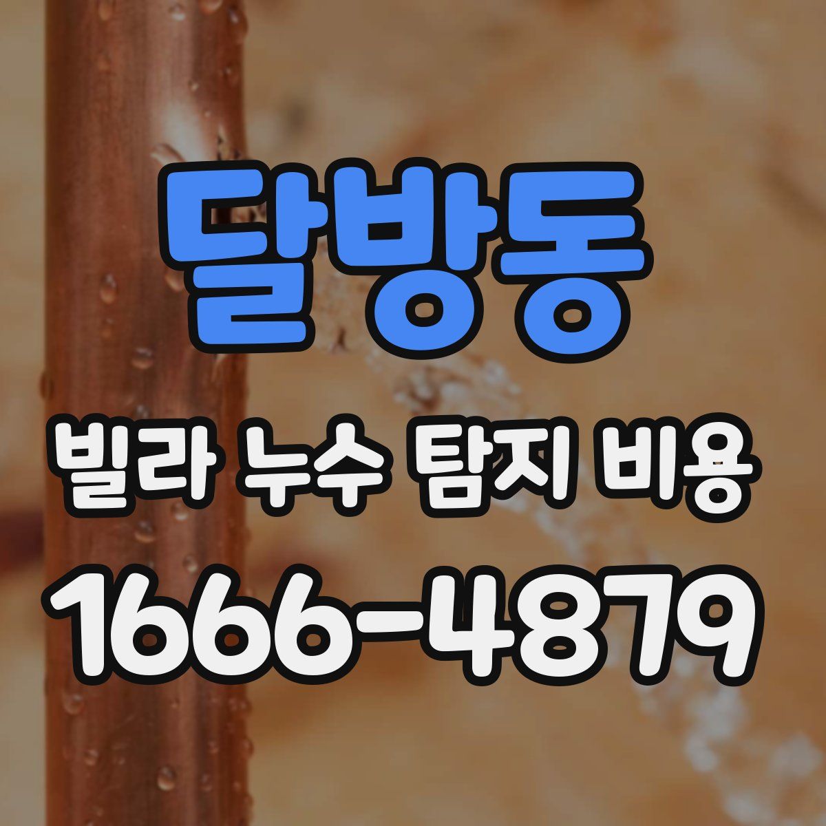 달방동 빌라 누수 탐지 비용