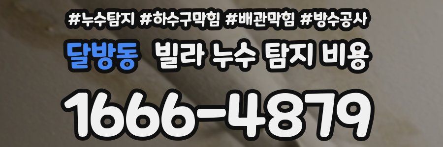 달방동 빌라 누수 탐지 비용