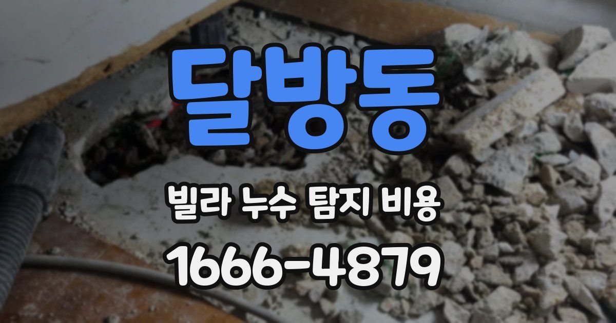 달방동 빌라 누수 탐지 비용