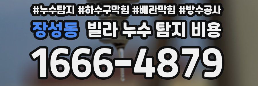 장성동 빌라 누수 탐지 비용