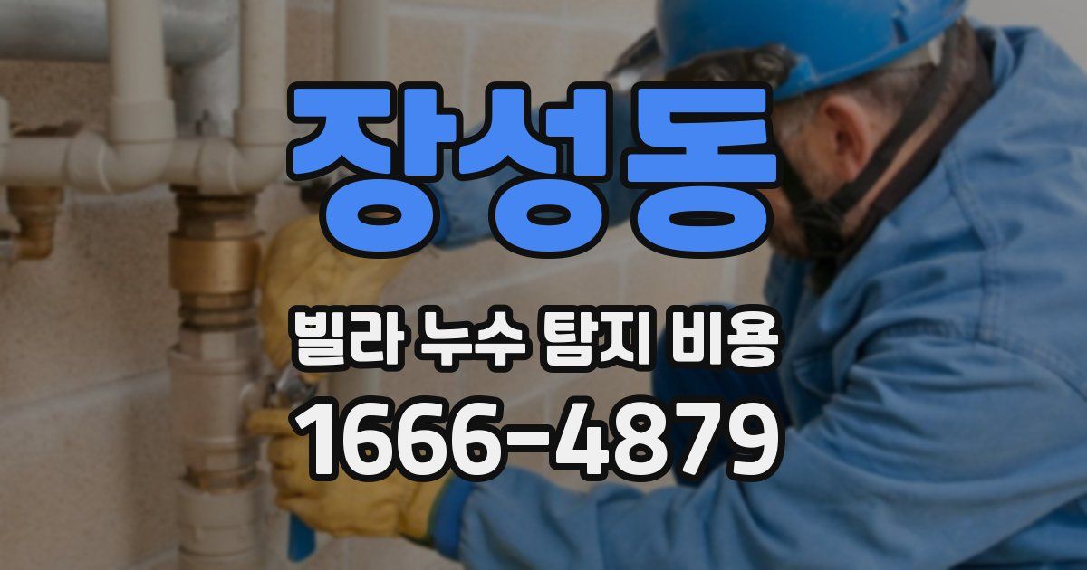 장성동 빌라 누수 탐지 비용