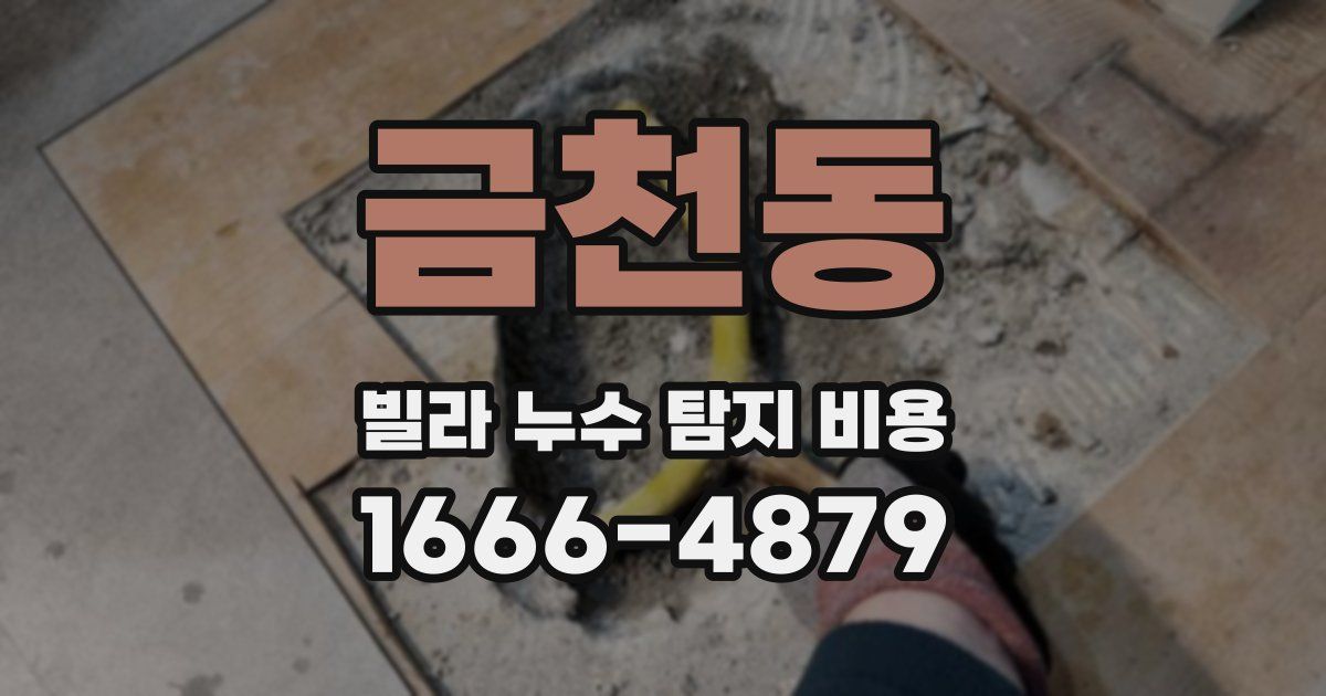 금천동 빌라 누수 탐지 비용