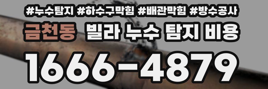 금천동 빌라 누수 탐지 비용