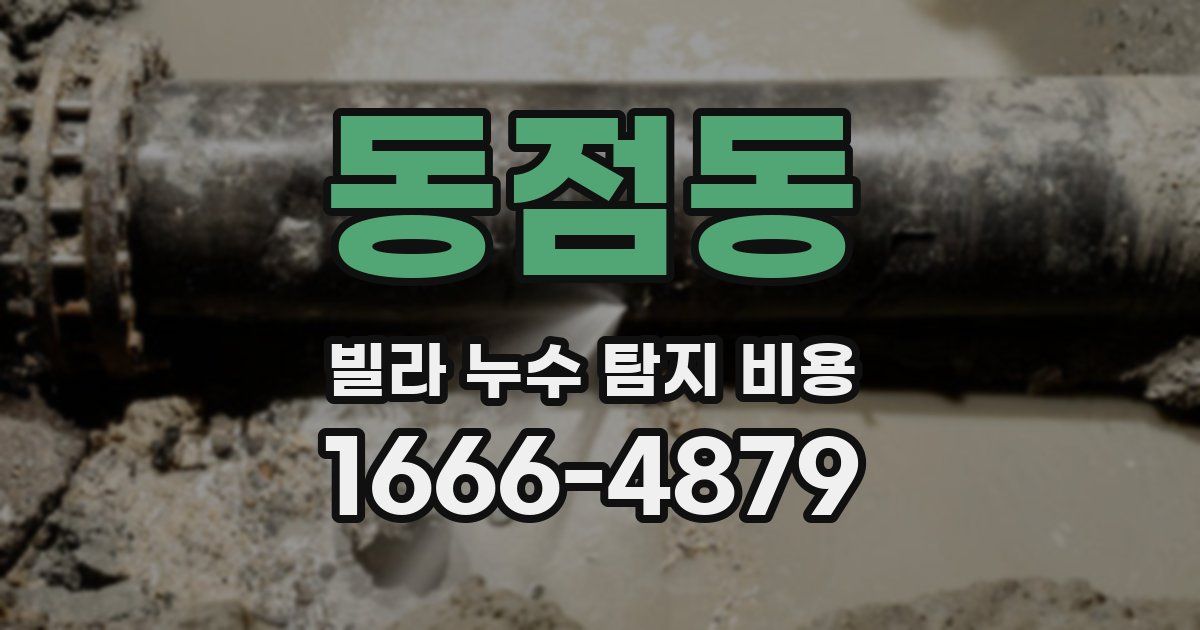 동점동 빌라 누수 탐지 비용