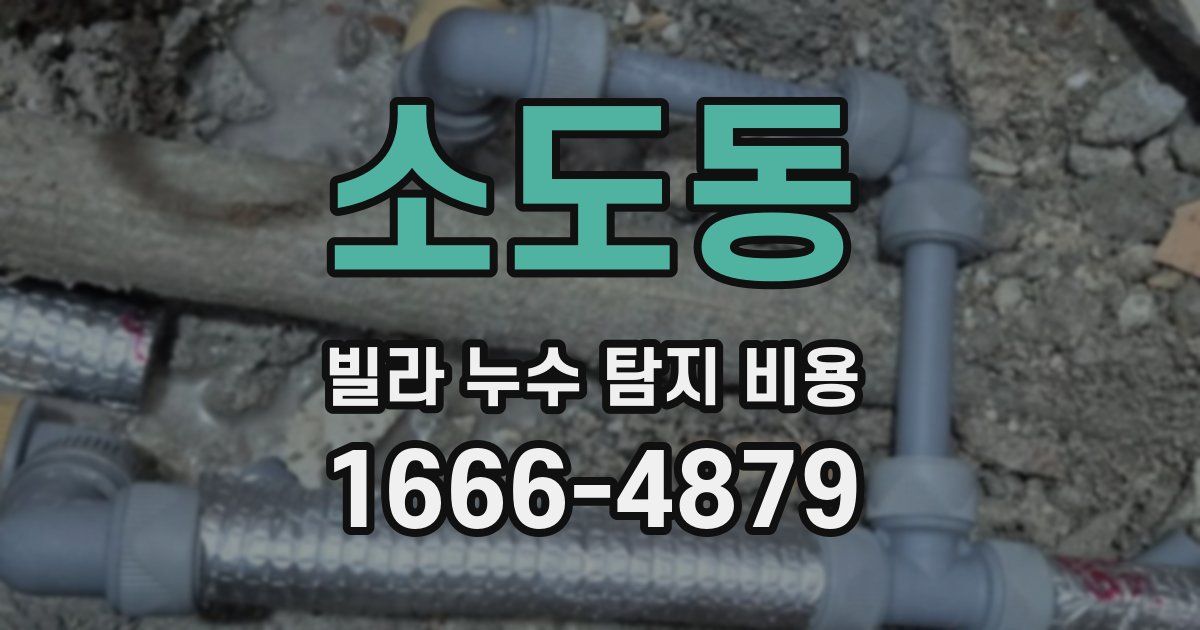 소도동 빌라 누수 탐지 비용