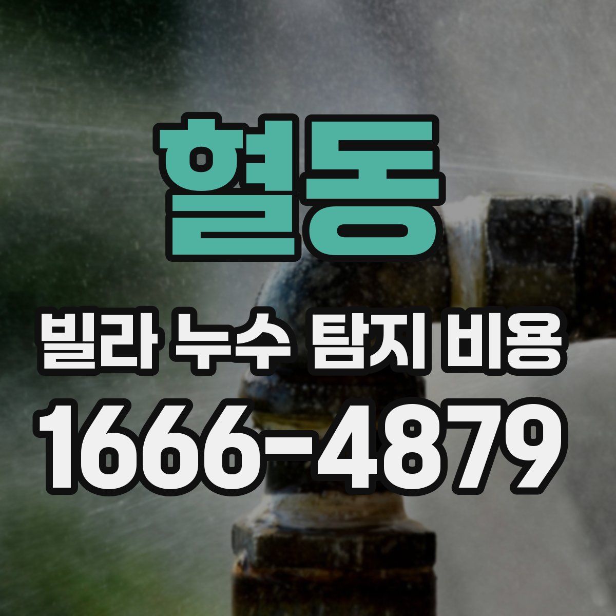 혈동 빌라 누수 탐지 비용