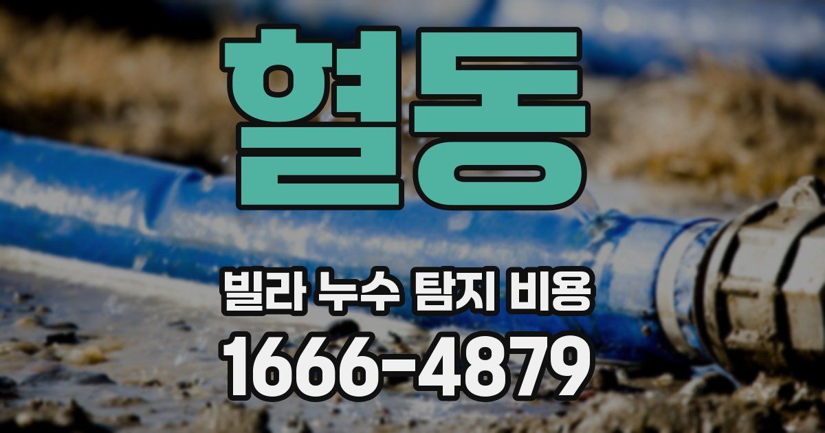 혈동 빌라 누수 탐지 비용