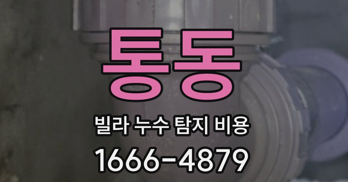 통동 빌라 누수 탐지 비용