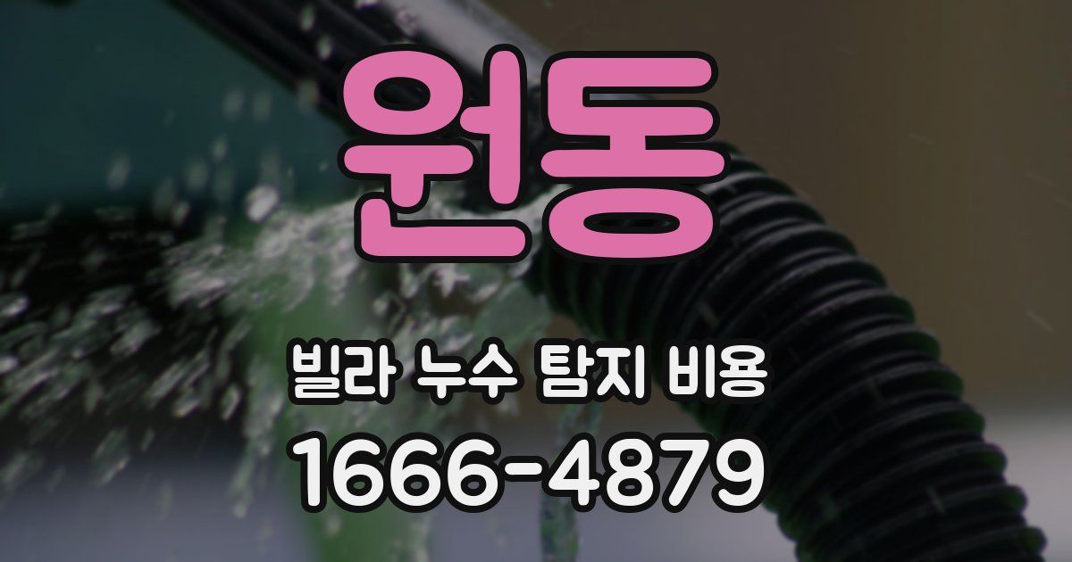 원동 빌라 누수 탐지 비용