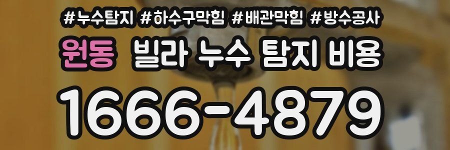 원동 빌라 누수 탐지 비용