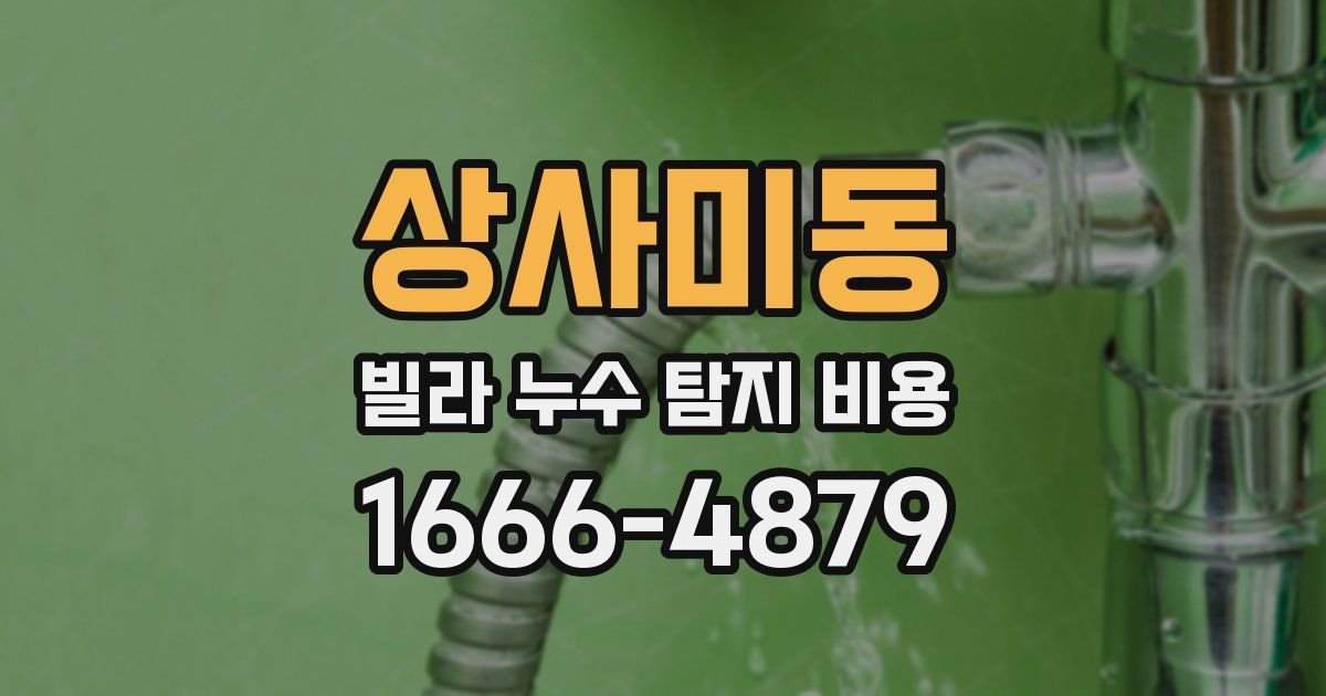 상사미동 빌라 누수 탐지 비용