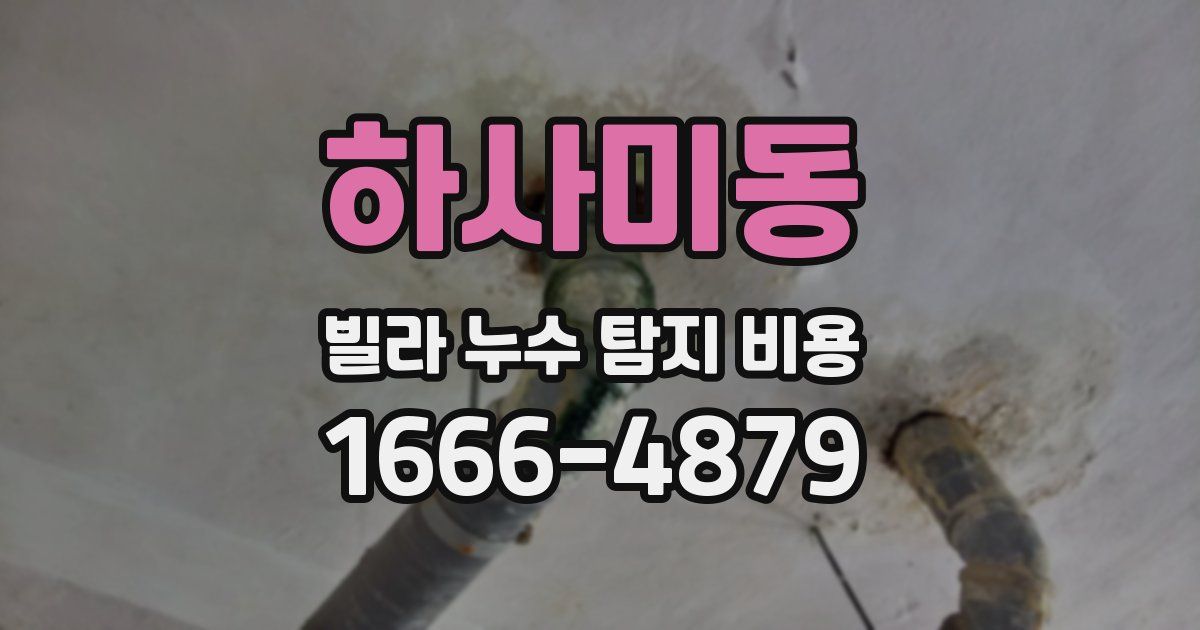 하사미동 빌라 누수 탐지 비용