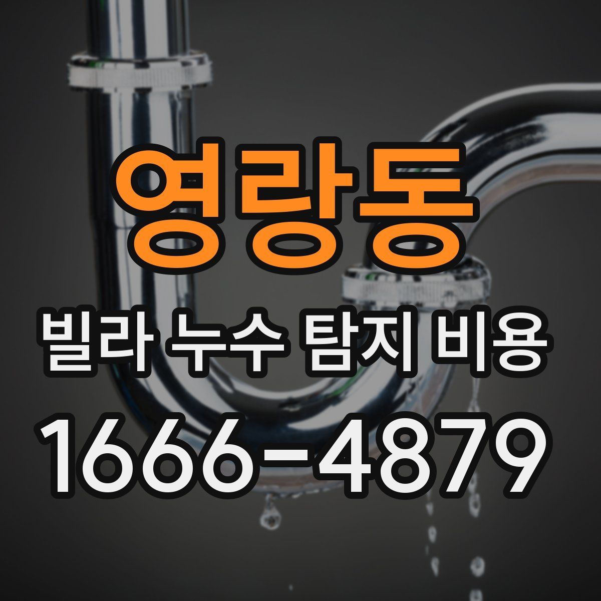 영랑동 빌라 누수 탐지 비용