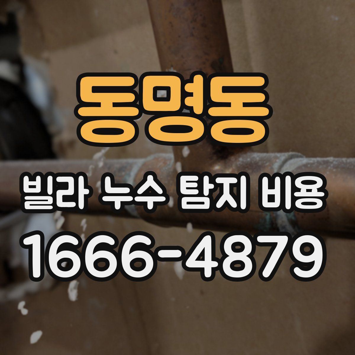 동명동 빌라 누수 탐지 비용