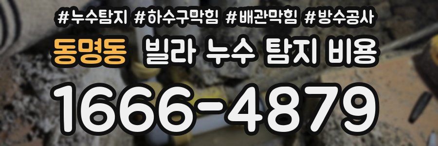동명동 빌라 누수 탐지 비용
