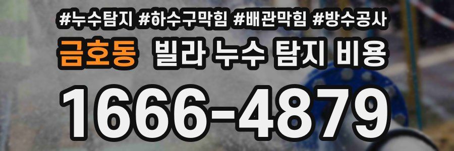 금호동 빌라 누수 탐지 비용