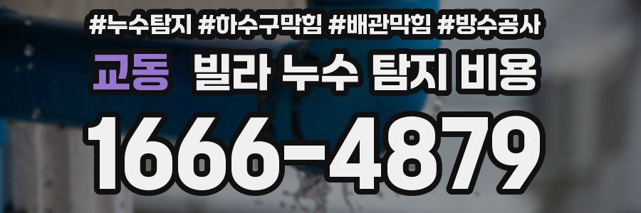 교동 빌라 누수 탐지 비용