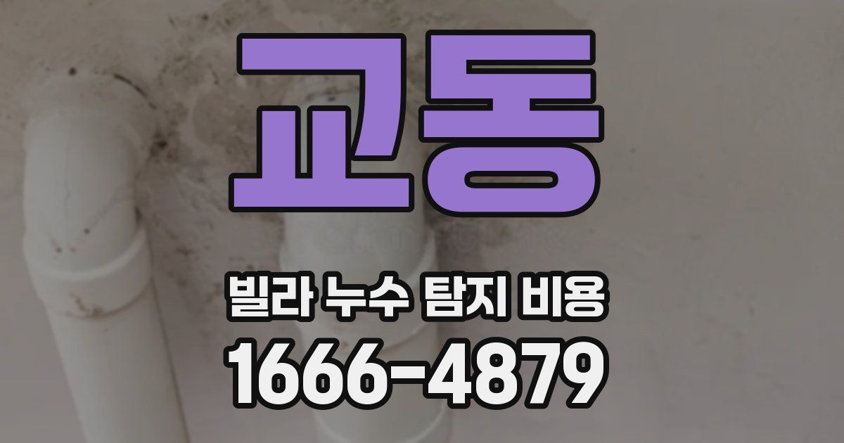 교동 빌라 누수 탐지 비용