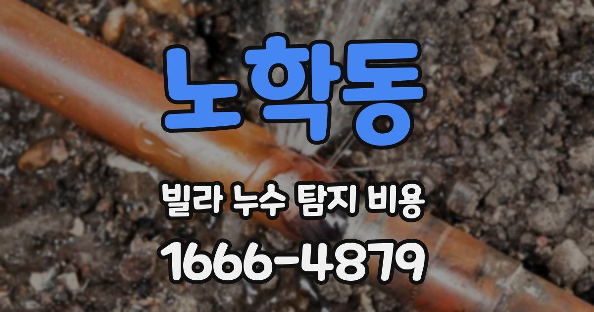 노학동 빌라 누수 탐지 비용